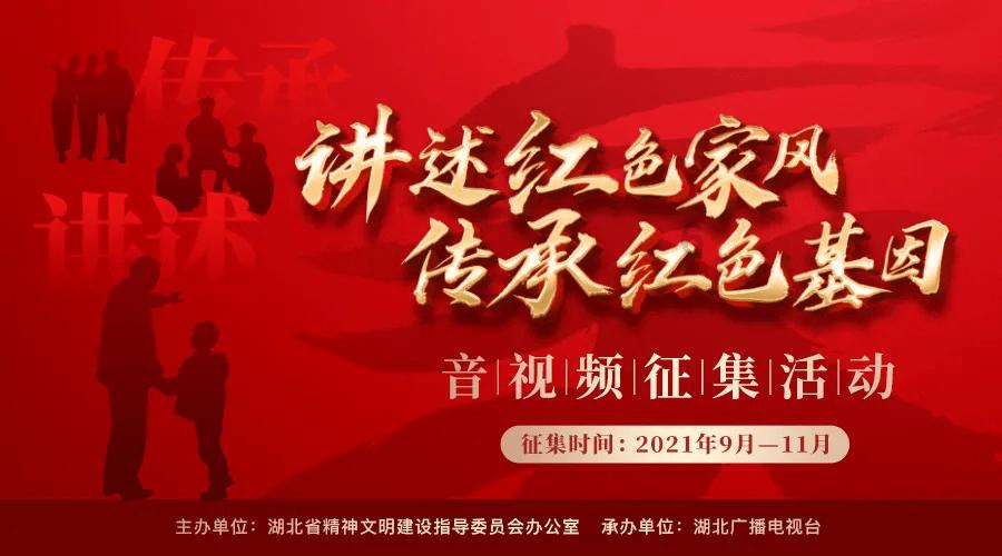 永清:无土水培种植技术促进农业提质增效
